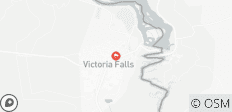  1 journée de visite guidée des chutes Victoria avec transferts - 1 destination 