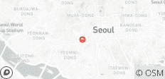  7 Days Seoul with Kids: A Family-Friendly Adventure (private guide &amp; driver） - Customizable - 1 destination 