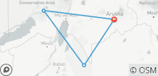  Safari de 2 jours en Tanzanie - 4 destinations 