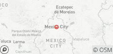  Mexico City: Day of the Dead Original - 1 destination 