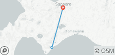  Excursión de 6 días al Festival de la Nieve de Hokkaido (guía y conductor privados）- Personalizable - 3 destinos 