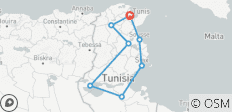  Circuit immersif en Tunisie : De Carthage au Sahara - 8 destinations 