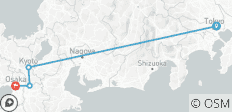  Tokyo, Kyoto and Osaka GO - 4 destinations 