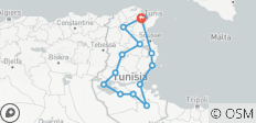  TUNESIË: VAN CARTHAGO NAAR DE OASES. EEN 10-DAAGSE ODYSSEE TUSSEN DE GESCHIEDENIS EN DE SAHARA - 15 bestemmingen 