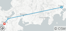  Hoogtepunten van Japan met de Bullet Train: Tokio, Kyoto &amp; Osaka | 8 Dagen - 3 bestemmingen 