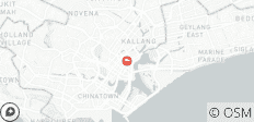  Singapore Stopover - 3 days - 1 destination 