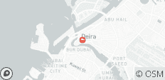  Escapada a la ciudad y al desierto de Dubai - 8 días - 1 destino 