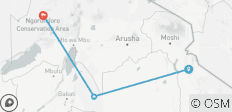  4 jours Tanzanie Big Five - 3 destinations 