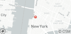  Holiday Magic in New York City - 1 destination 