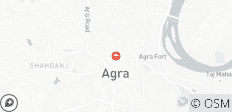  Desde Agra: excursión local de día completo al Taj Mahal + Fuerte de Agra + B Taj - 1 destino 