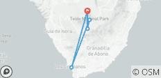  Tasting the South of Tenerife - 5 destinations 