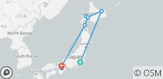  Japon Festival de la neige de Sapporo - 9 destinations 