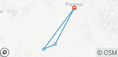  Stedentrip naar Florence - 3 dagen - 4 bestemmingen 