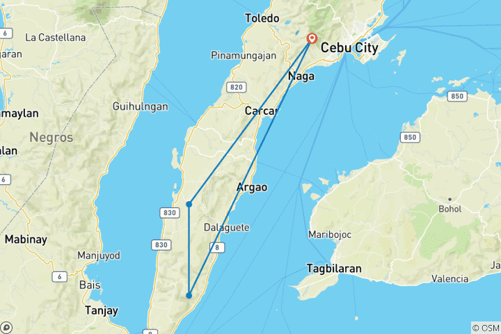 Map of City Tour + Oslob Whale Shark Watching + Kawasan Falls Canyoneering + Moalboal Island Hopping (without accommodation)