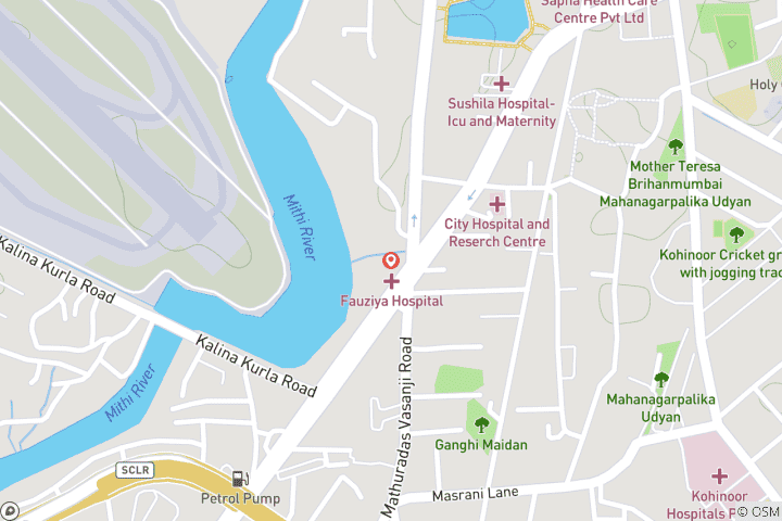 Mapa de Visita a Bombay con el barrio marginal de Dharavi y Bollywood