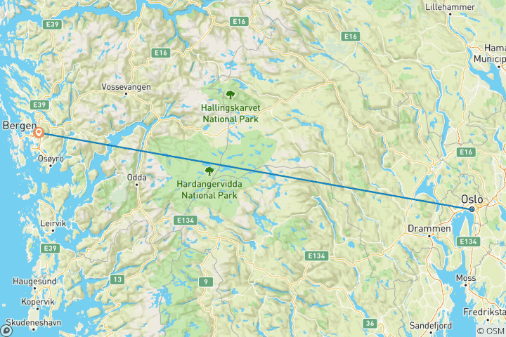 Map of Norway in a Nutshell (Oslo to Bergen via Flam)