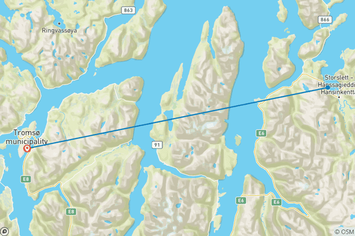 Karte von Orcas und Buckelwale unter Nordlichtern