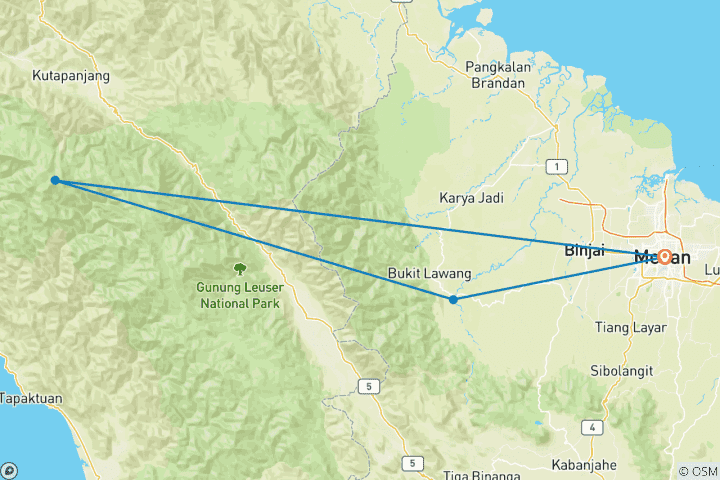 Map of Orangutans and Gibbos With The Family