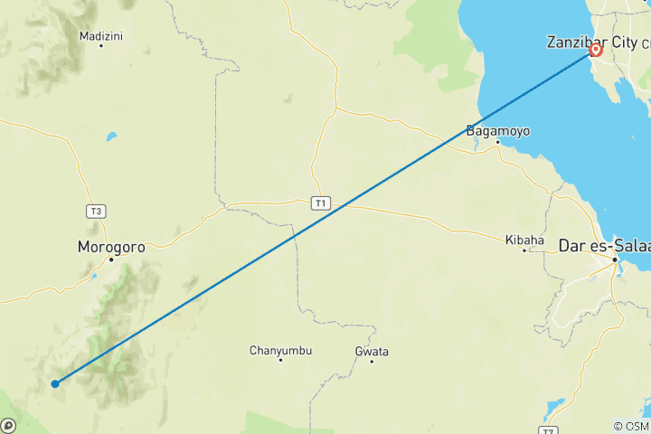 Carte du circuit Au départ de Zanzibar : excursion d'une journée à Mikumi Safari avec vols et déjeuner