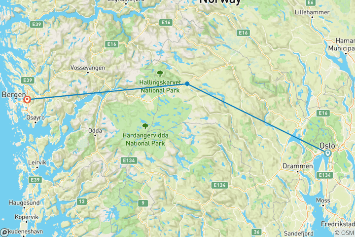 Karte von Oslo nach Bergen in einer Woche mit einem Aufenthalt entlang des Viken (Geilo, AL, Finse...)