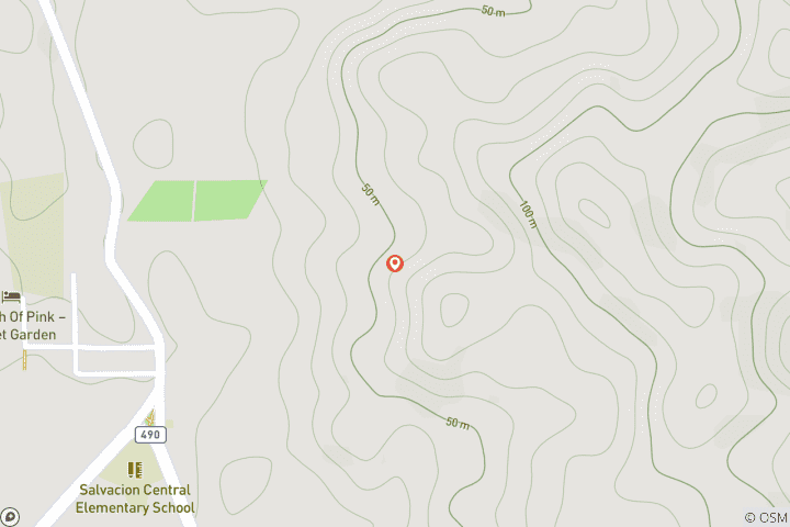 Carte du circuit Circuit en petit groupe de 4 jours à Palawan (max. 8)