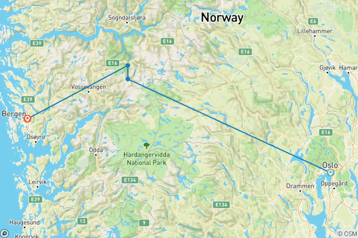 Karte von Norwegen per Zug: Der Sognefjord (8 Tage)