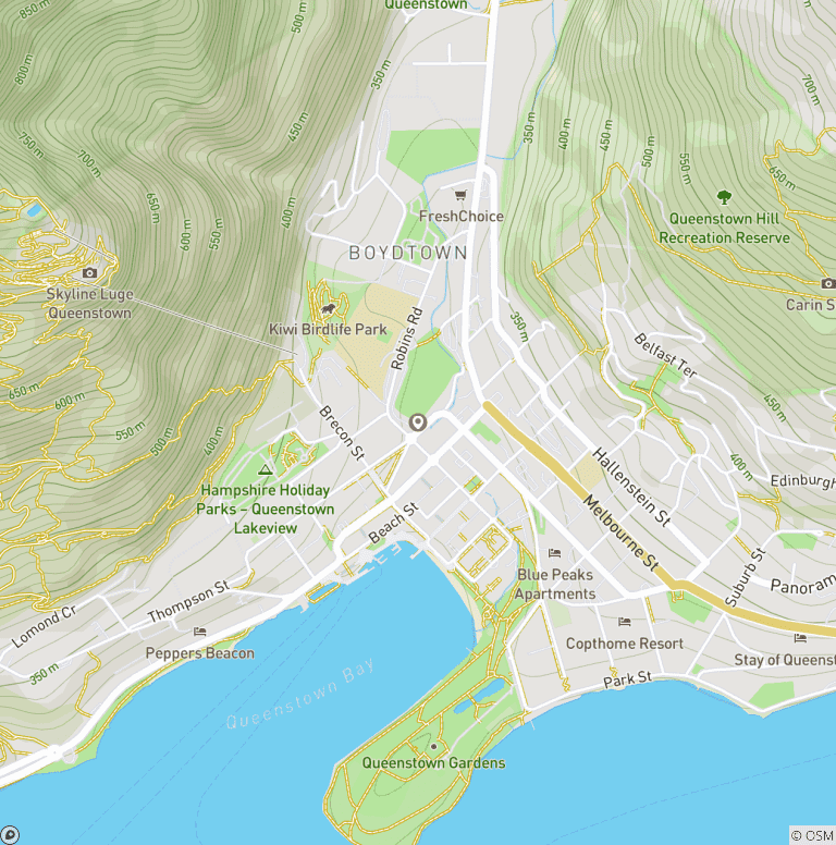 Map of Ski New Zealand (Standard)