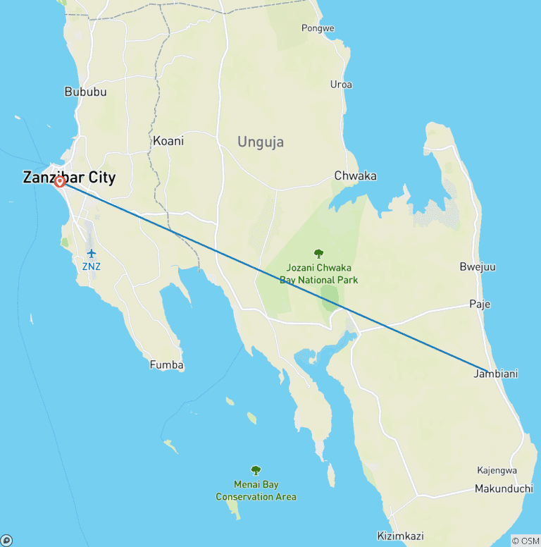 Map of 3-Day Zanzibar Escape: All-Inclusive Jambiani Beach Stay & Free Time
