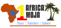 Africa Moja Tours & Transfers
