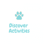 Discover Activities