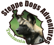 Steppe Dogs Adventures Ltd