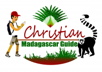 Tours in Madagascar