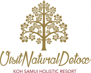 Visit Natural Detox Resort