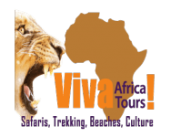 Viva Africa Tours