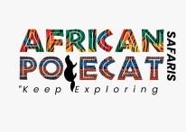 African Polecat Safaris