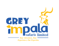 Grey Impala Safaris