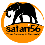 Safari 56 