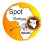 Spot Kenya Safaris