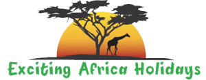 Exciting Africa Holidays