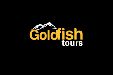 Goldfish Tours