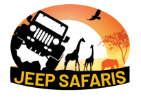 Jeep Safaris and Tours