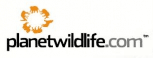 Planet Wildlife
