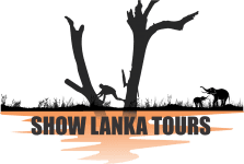 showlanka tours 