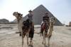 9-Days Classical Egypt Tour with 4 night Nile Cruise customer review photo 1