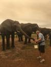 Garden Route, Safari & Winelands customer review photo 3