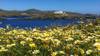 Secret Cyclades: Hiking Holidays on Kythnos island customer review photo 4