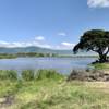 2 Days, 1 Nights Tarangire & Ngorongoro Group Mid Range Safari Tanzania customer review photo 1
