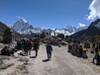 Photo d'avis client sur Trek du camp de base de l'Everest (14 destinations) 6