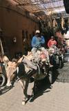 Delve Deep: Morocco customer review photo 1