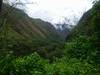 Photo d'avis client sur Trek dans la jungle inca jusqu'au Machu Picchu 5